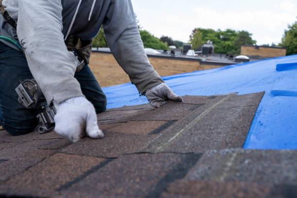 Best Commercial Roofing Services  in Wardsville, MO